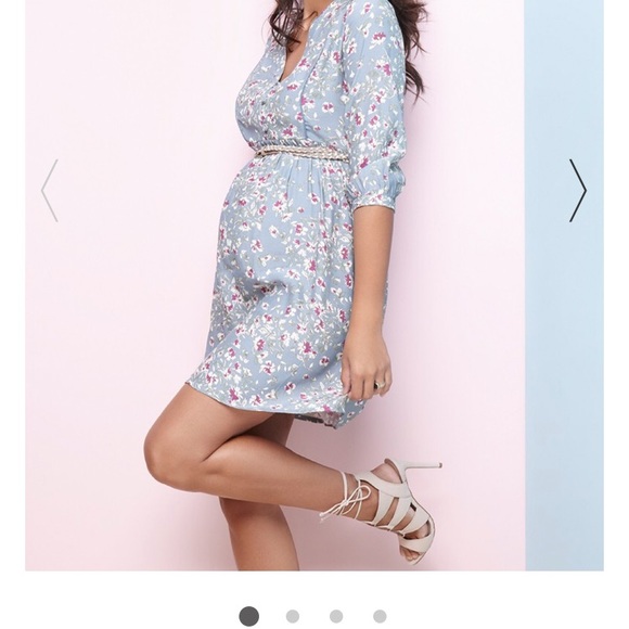 Seraphine Dresses & Skirts - Seraphine A-Line Maternity Dress Blue Floral